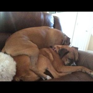 Meet your Posher, Tim